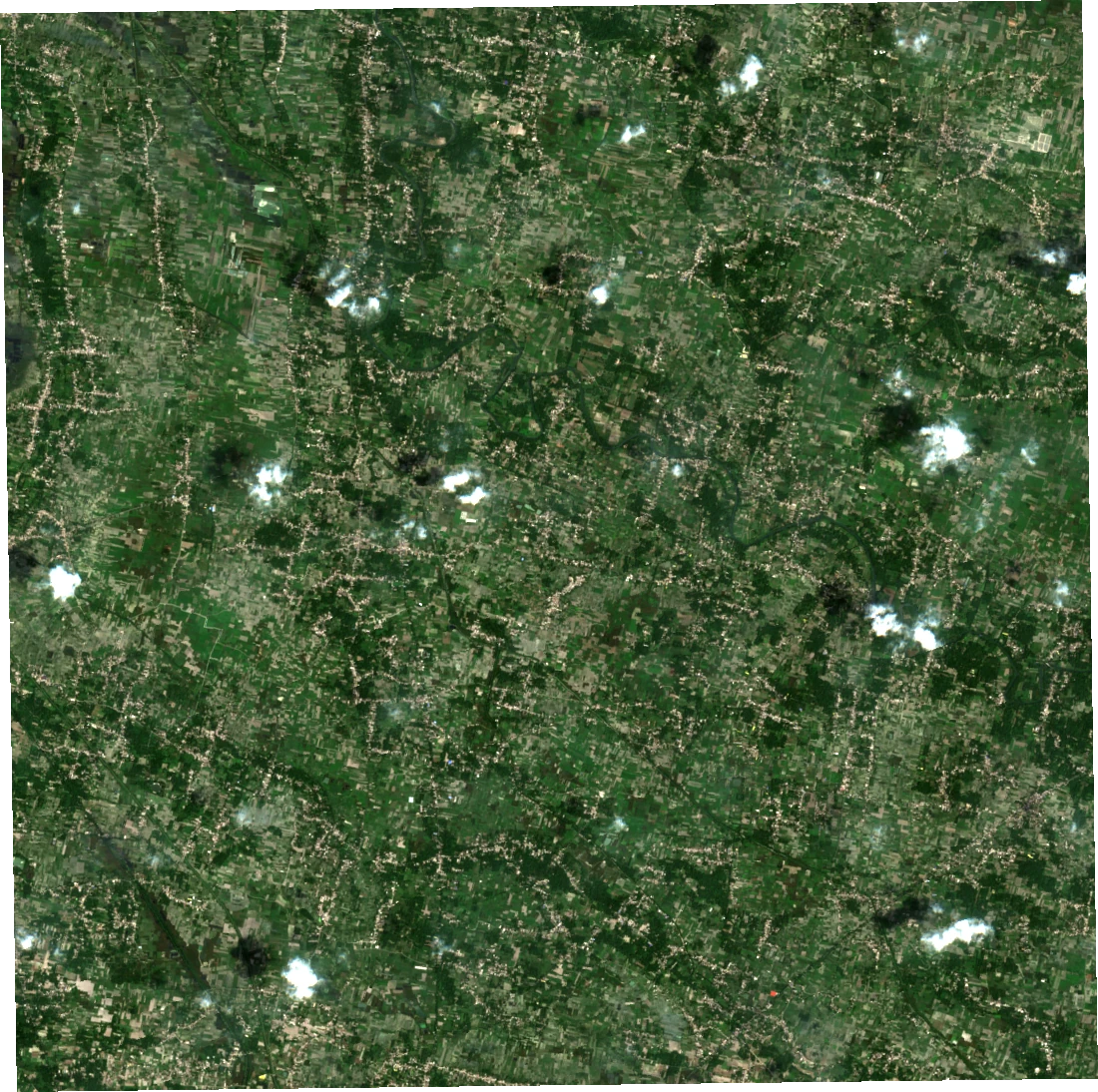 Earlier Sentinel-2 natural-colour observation of the Vaishali sample landscape on 12 August 2026, including visible clouds.