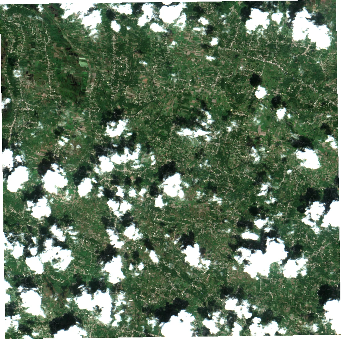 Sentinel-2 natural-colour satellite observation showing agricultural fields, settlements and cloud cover in the Vaishali sample landscape.